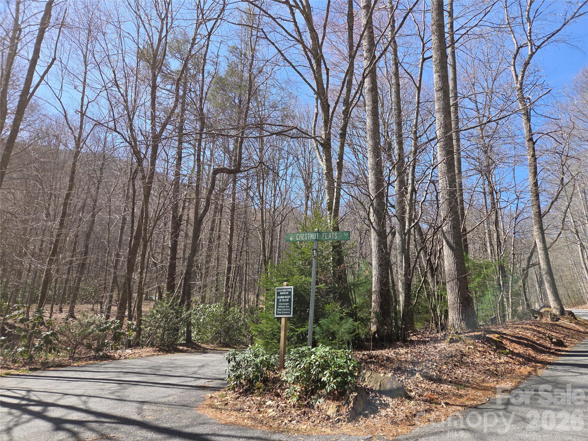 820 Chestnut Flats Road, Unit 4 Waynesville, NC 28786 - Photo 14 of 20