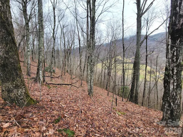 $75,000 | 820 Chestnut Flats Road, Unit 4, Waynesville, NC 28786