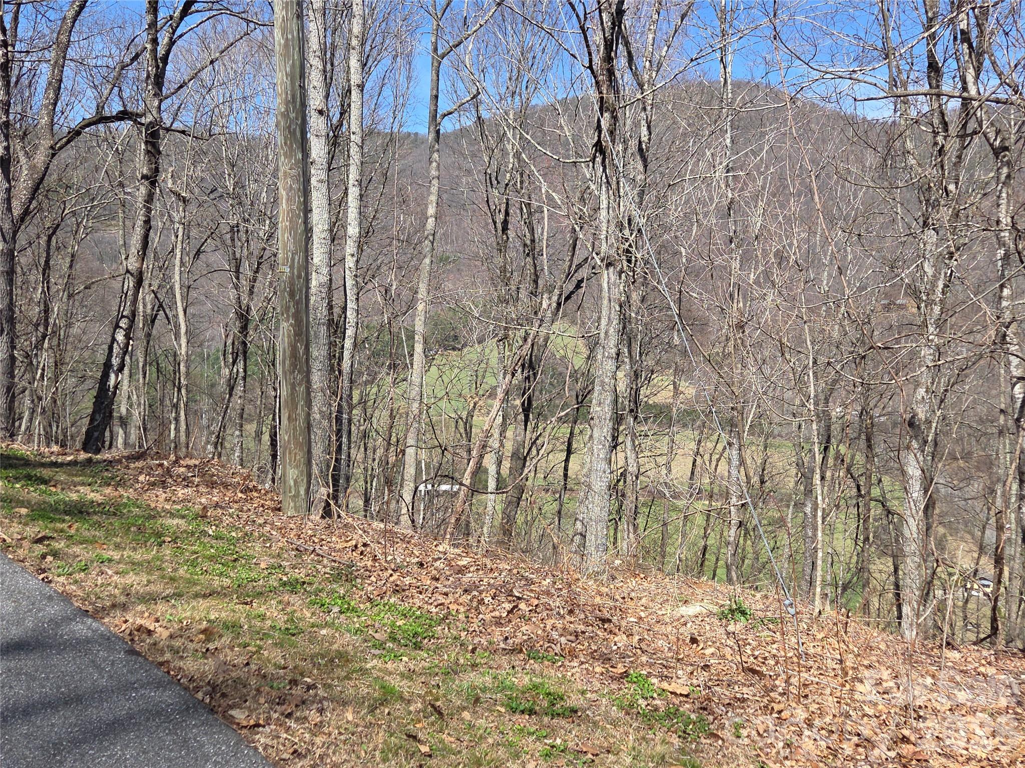 820 Chestnut Flats Road, Unit 4 Waynesville, NC 28786 - Photo 17 of 20