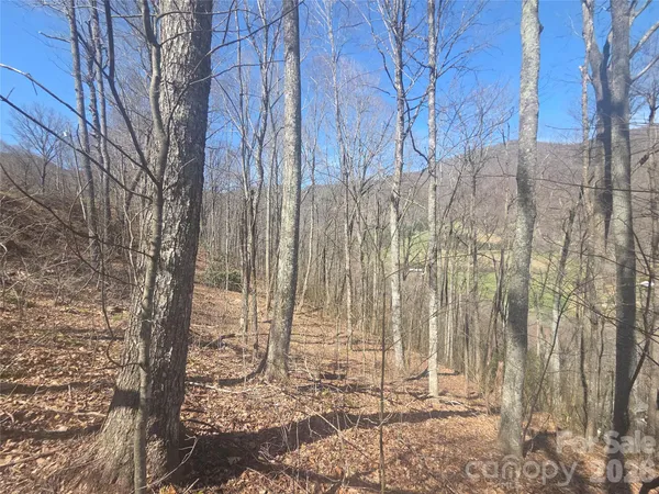 $75,000 | 820 Chestnut Flats Road, Unit 4, Waynesville, NC 28786