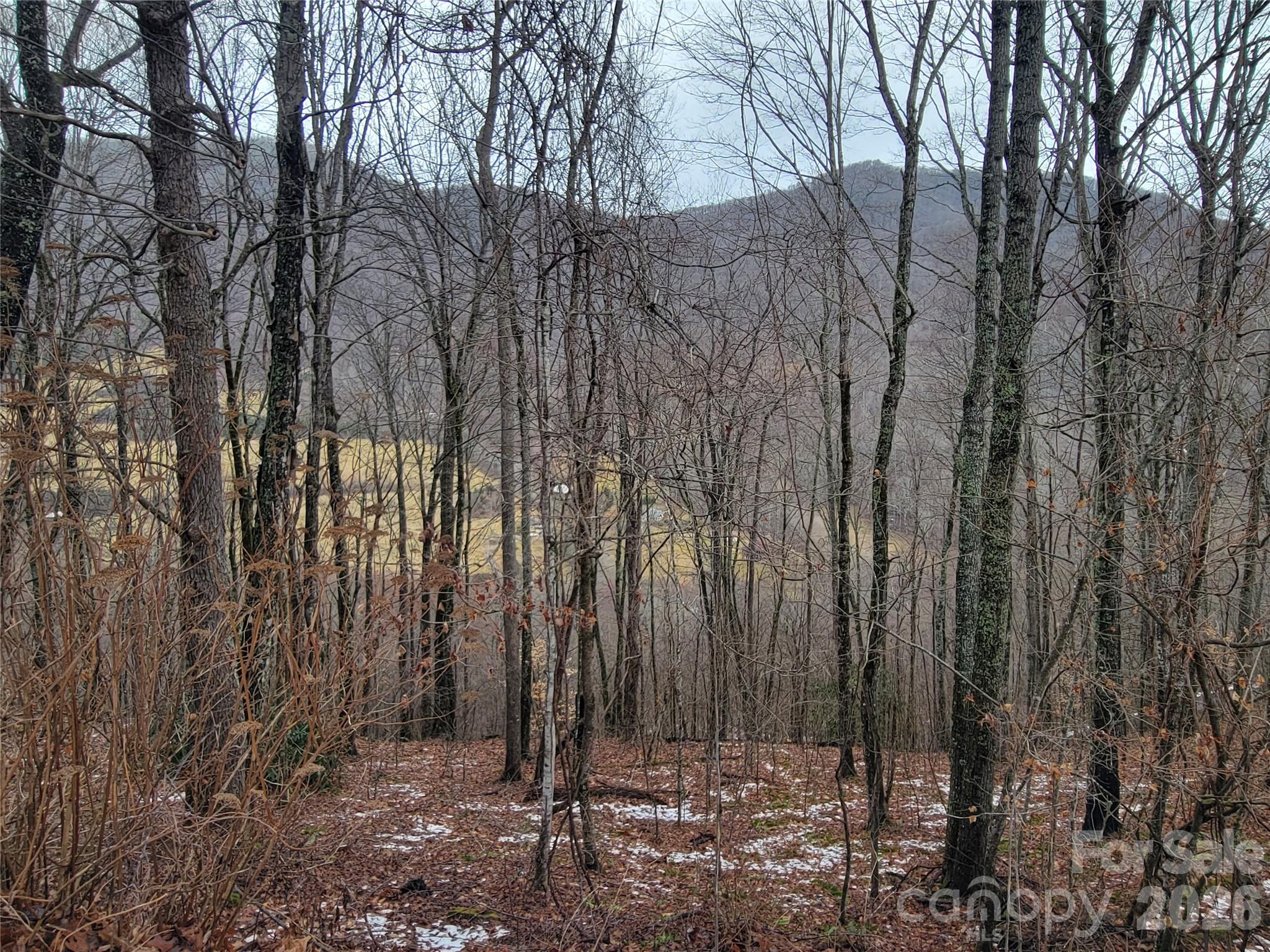 820 Chestnut Flats Road, Unit 4 Waynesville, NC 28786 - Photo 19 of 20
