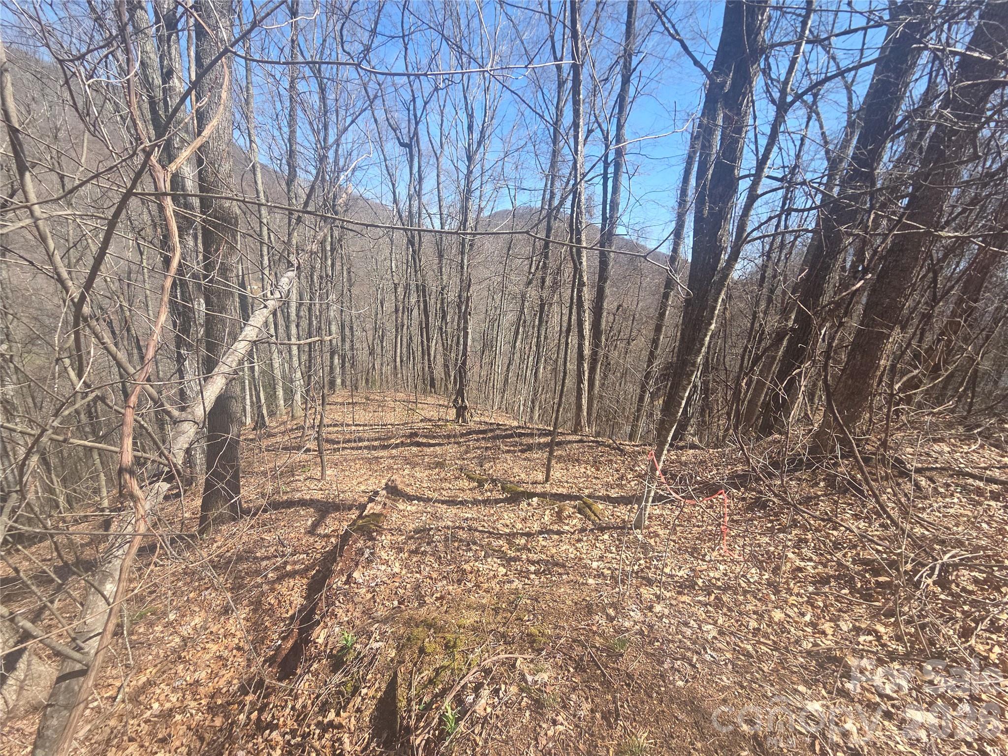 820 Chestnut Flats Road, Unit 4 Waynesville, NC 28786 - Photo 3 of 20