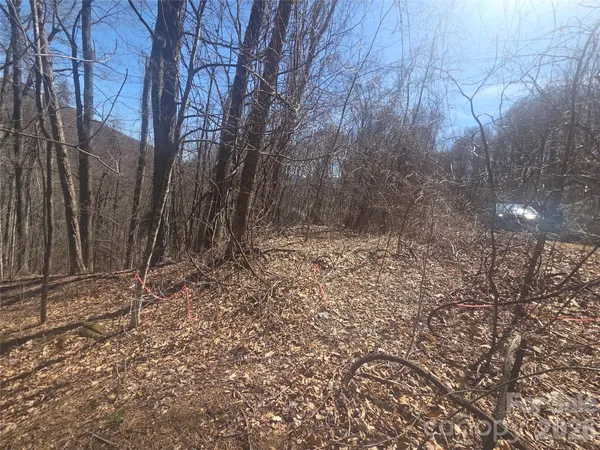 $75,000 | 820 Chestnut Flats Road, Unit 4, Waynesville, NC 28786