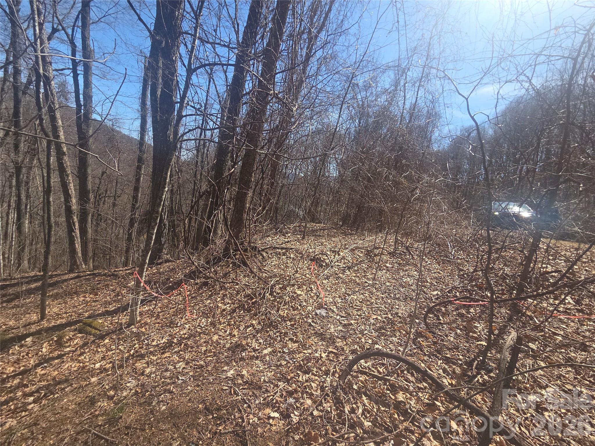 820 Chestnut Flats Road, Unit 4 Waynesville, NC 28786 - Photo 4 of 20