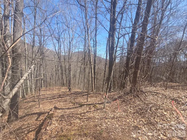 $75,000 | 820 Chestnut Flats Road, Unit 4, Waynesville, NC 28786