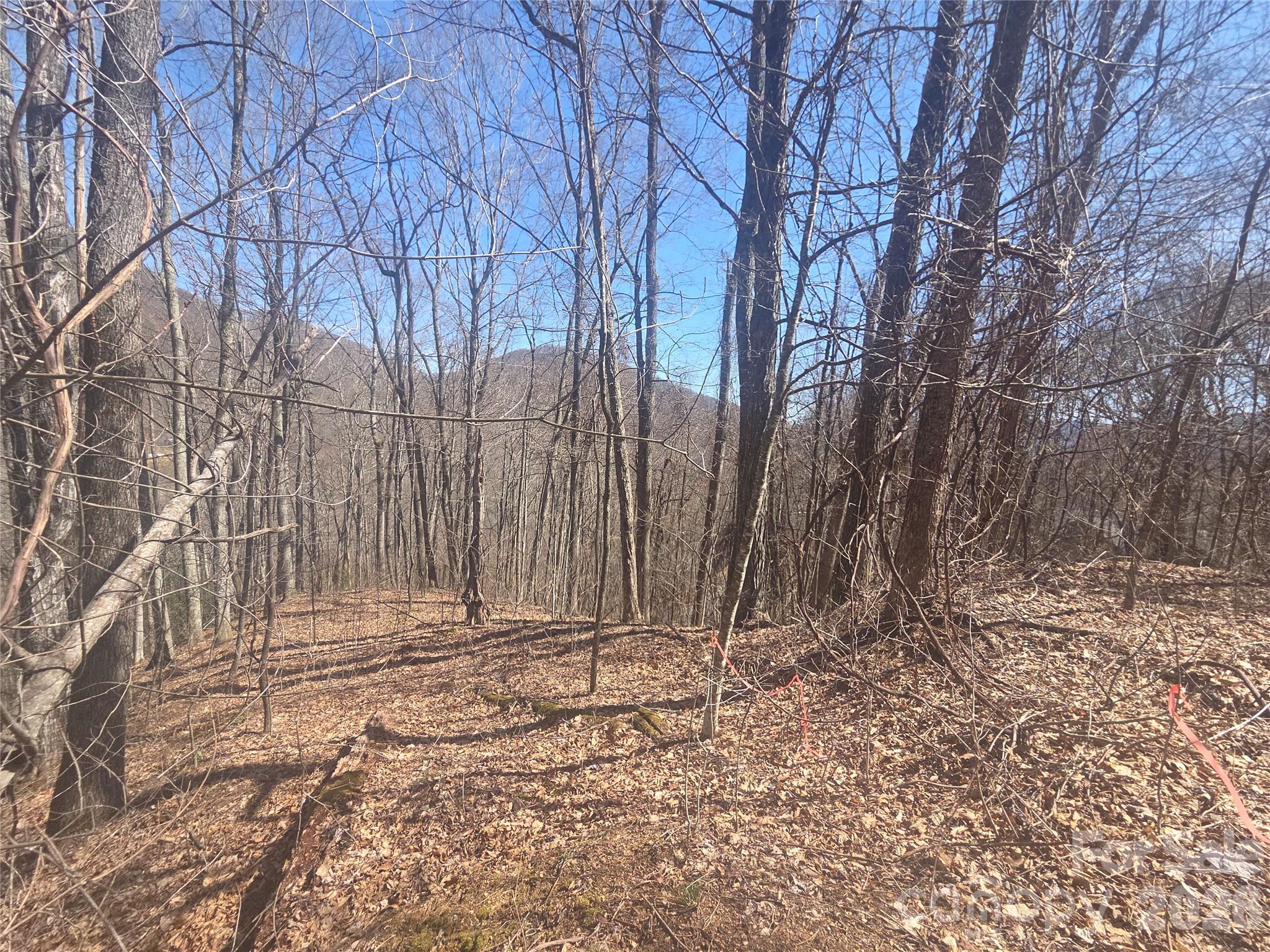 820 Chestnut Flats Road, Unit 4 Waynesville, NC 28786 - Photo 5 of 20