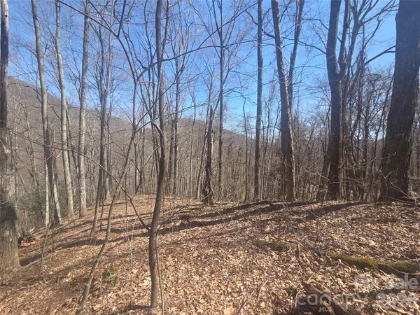 $75,000 | 820 Chestnut Flats Road, Unit 4, Waynesville, NC 28786