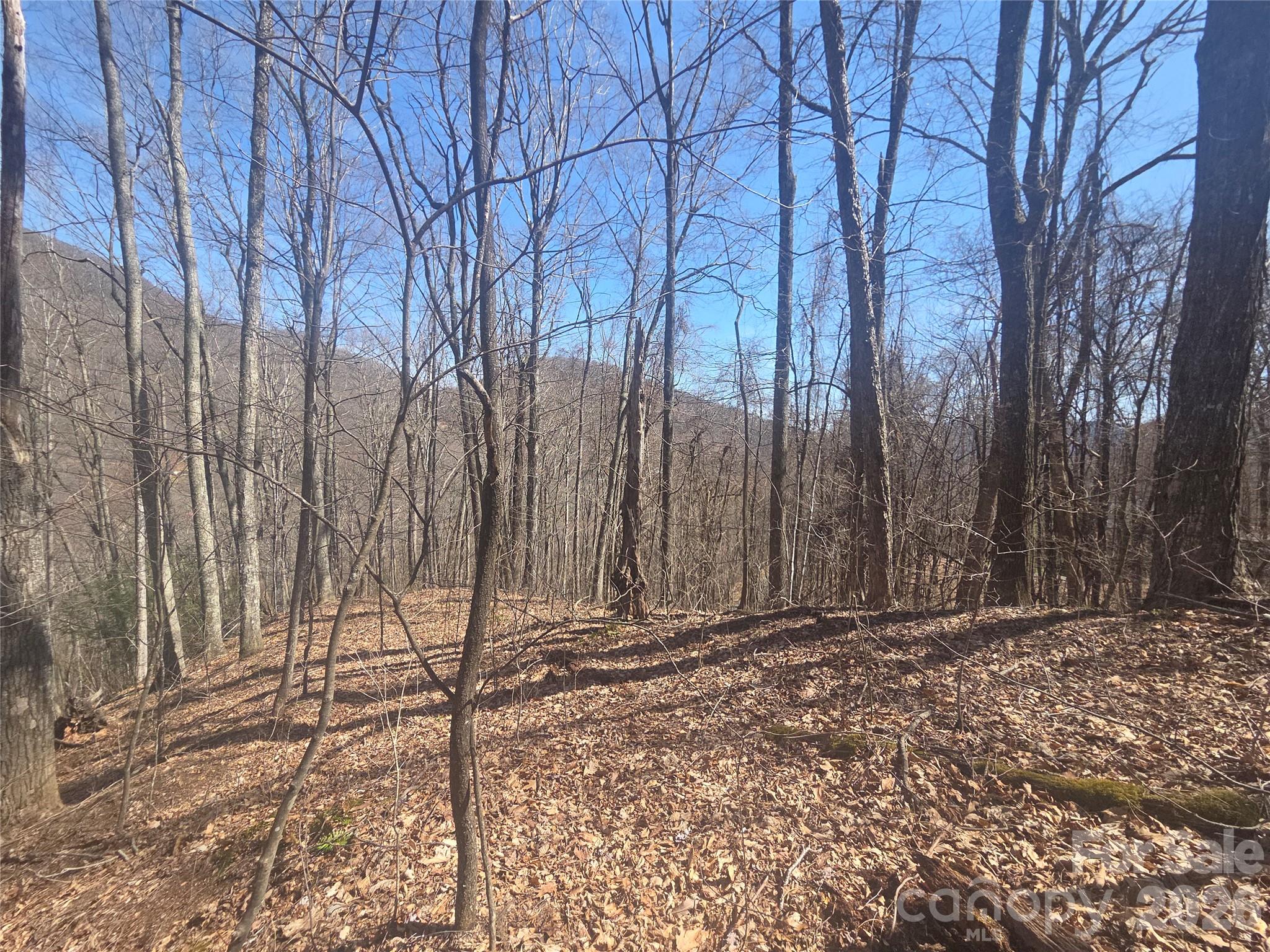 820 Chestnut Flats Road, Unit 4 Waynesville, NC 28786 - Photo 6 of 20