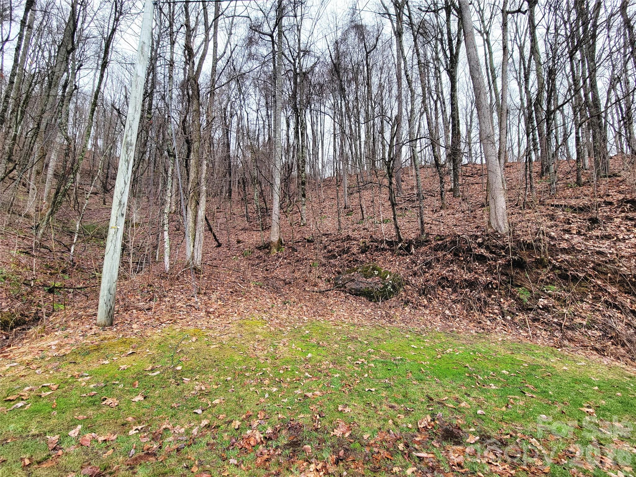 820 Chestnut Flats Road, Unit 4 Waynesville, NC 28786 - Photo 10 of 20