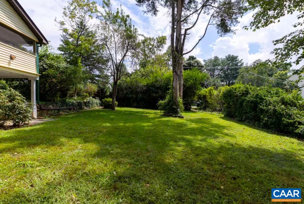 243 Shamrock Road Charlottesville, VA 22903 - Photo 12 of 13
