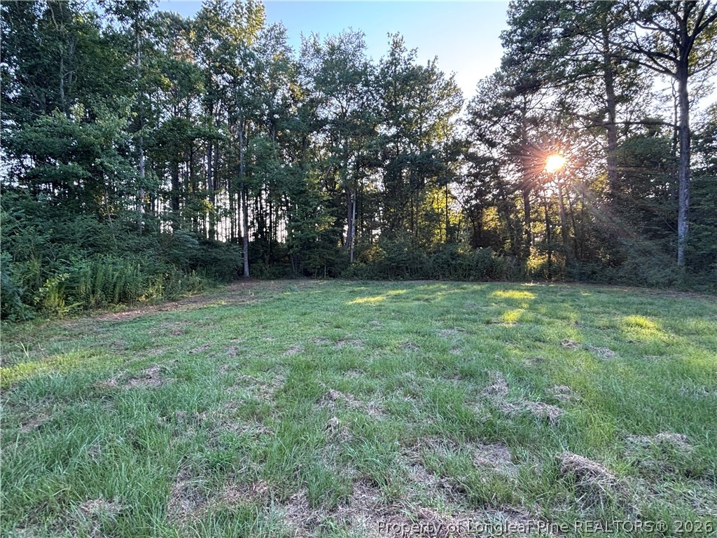 595 Shaw Road St. Pauls, NC 28384 - Photo 12 of 29