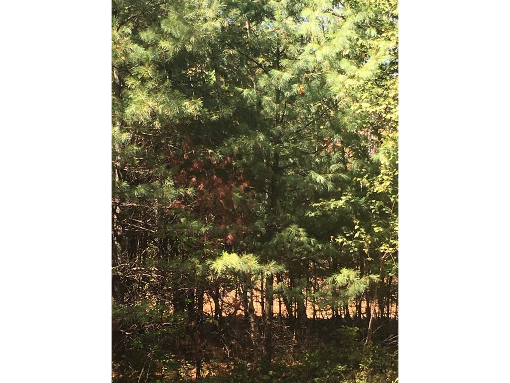 99 George Pitman Drive Barnstead, NH 03225 - Photo 1 of 5 Gallery Image 1