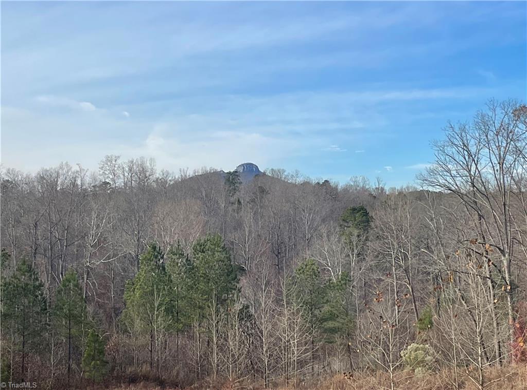 0 West Westmoreland Road King, NC 27021 - Photo 1 of 1 Gallery Image 1