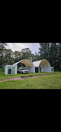 a view of a big yard with a large tree