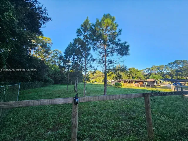 a view of a park with large trees