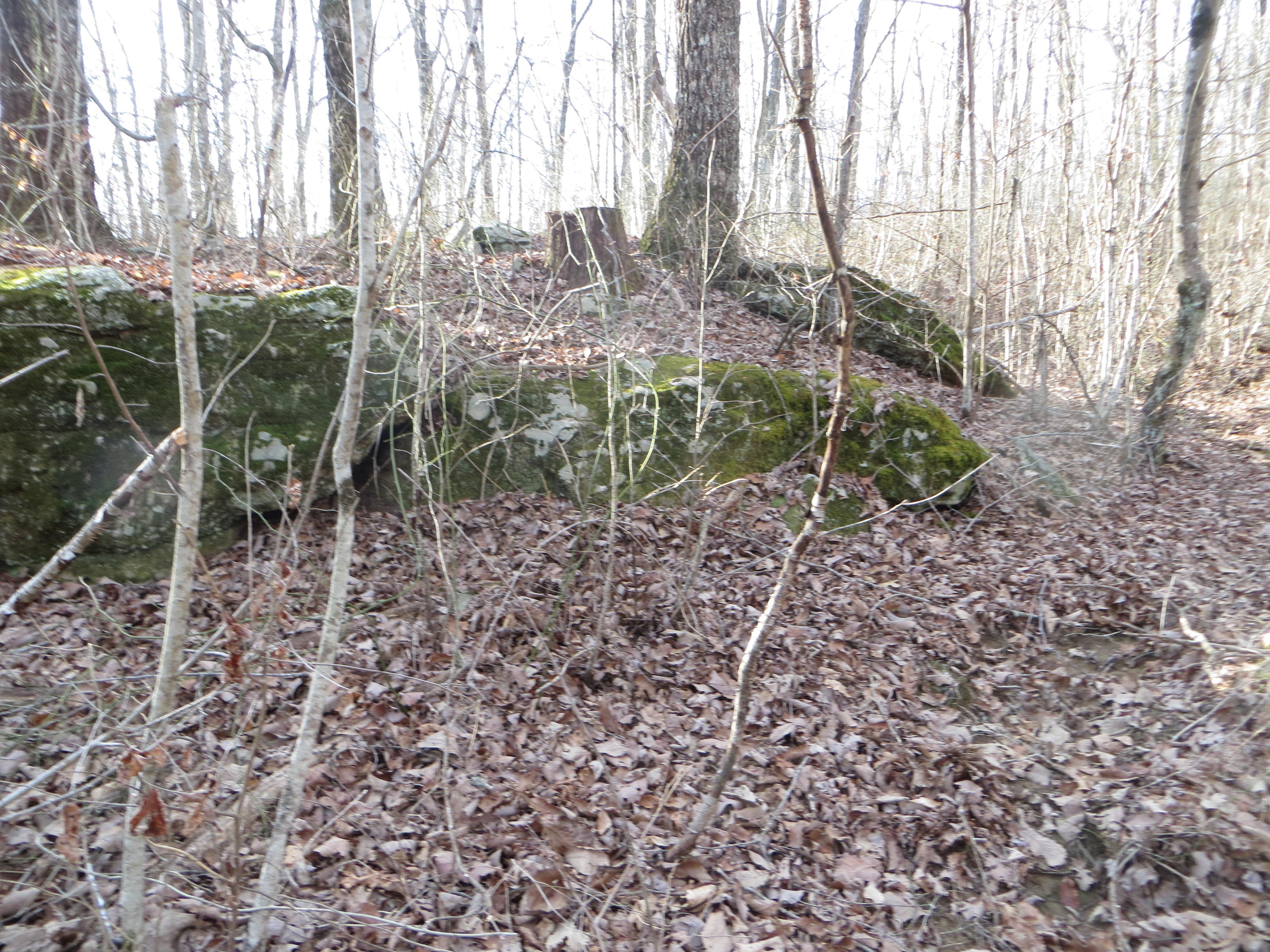 0 Big Ridge Road, Unit 2 Spring City, TN 37381 - Photo 22 of 46 IMG_0020