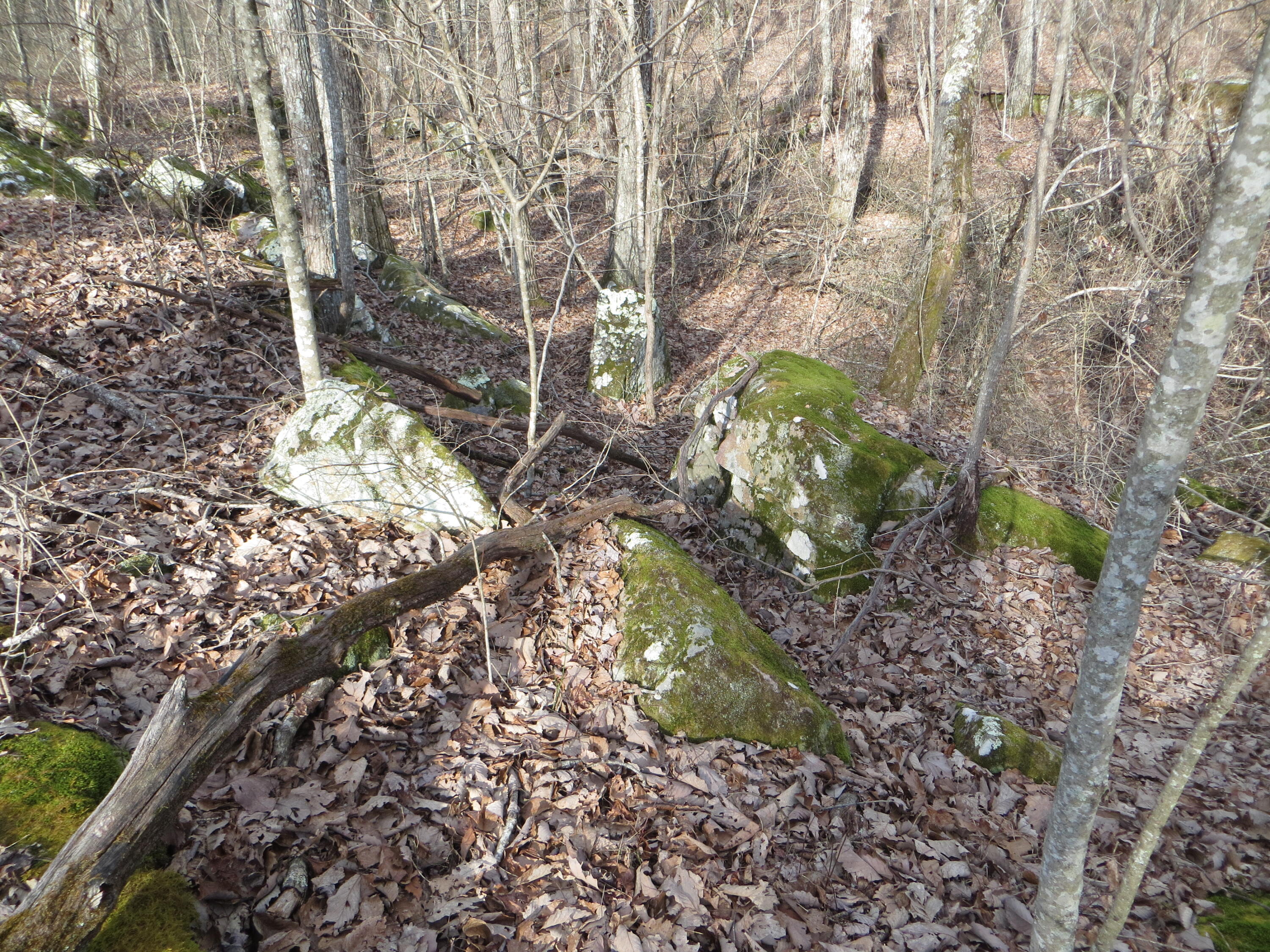 0 Big Ridge Road, Unit 2 Spring City, TN 37381 - Photo 33 of 46 IMG_0033
