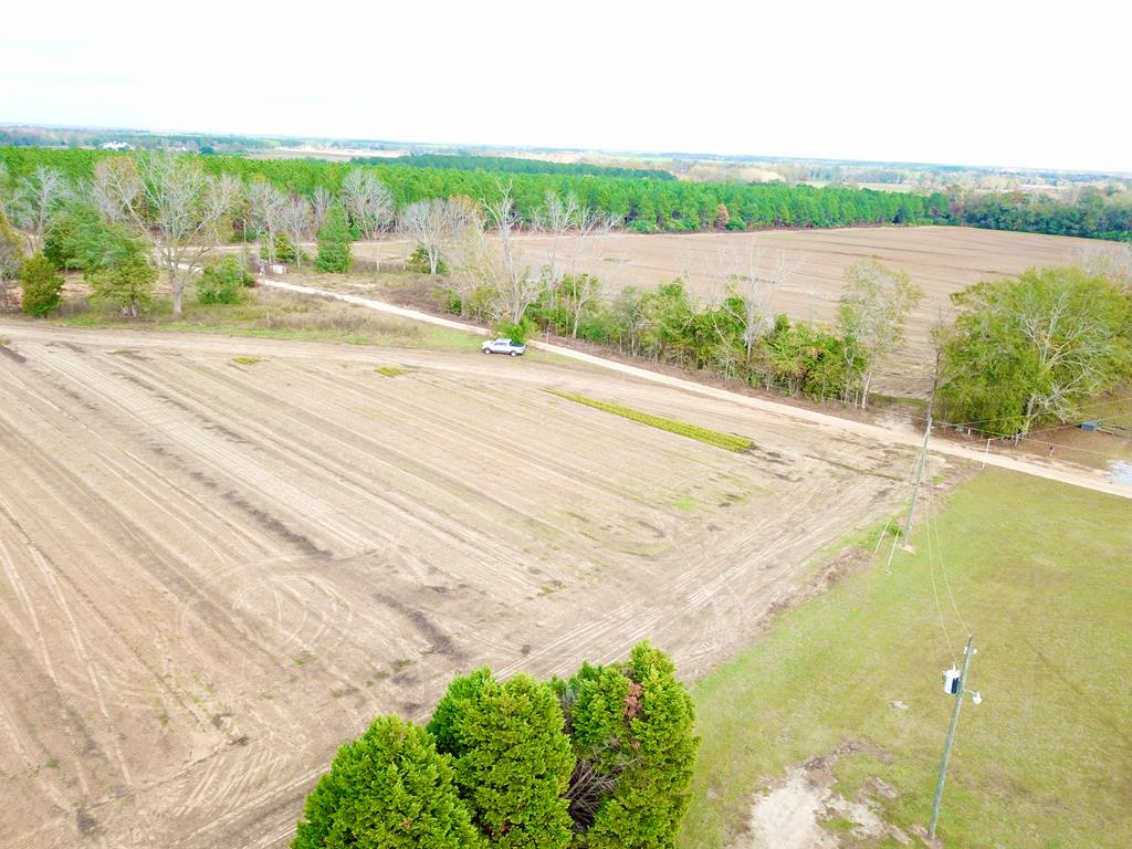3.42-acres Summer Road Slocomb, AL 36375 - Photo 10 of 24