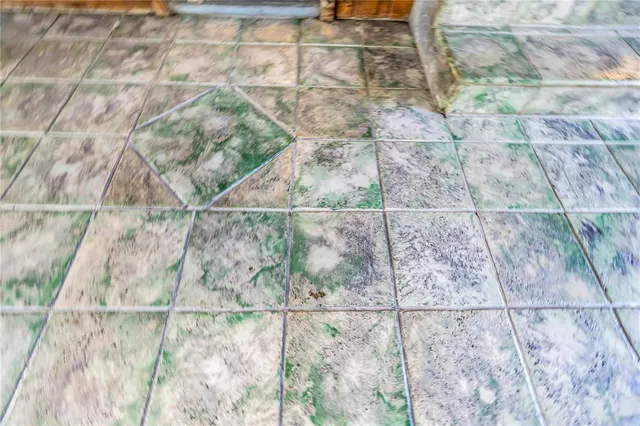 a view of a house with a yard and large tree