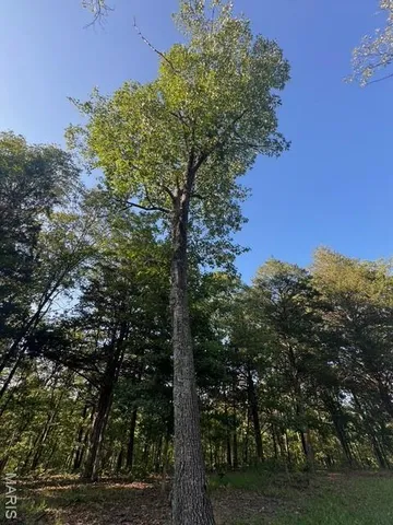 $151,000 | 130 Steeple Point Drive, Defiance, MO 63341