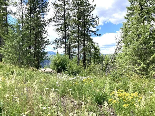 $85,000 | U U Buffy Lane, Inchelium, WA 99138