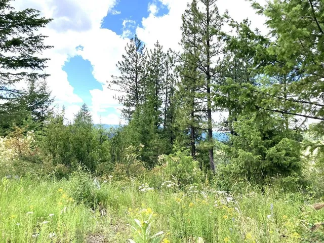 $85,000 | U U Buffy Lane, Inchelium, WA 99138