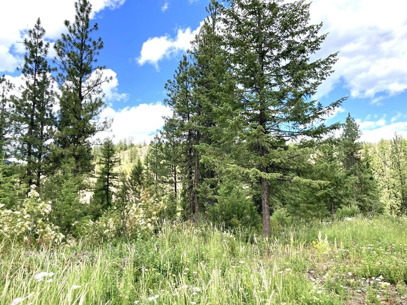 U U Buffy Lane Inchelium, WA 99138 - Photo 13 of 18