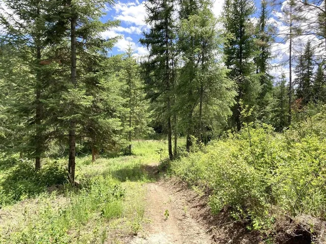 $85,000 | U U Buffy Lane, Inchelium, WA 99138