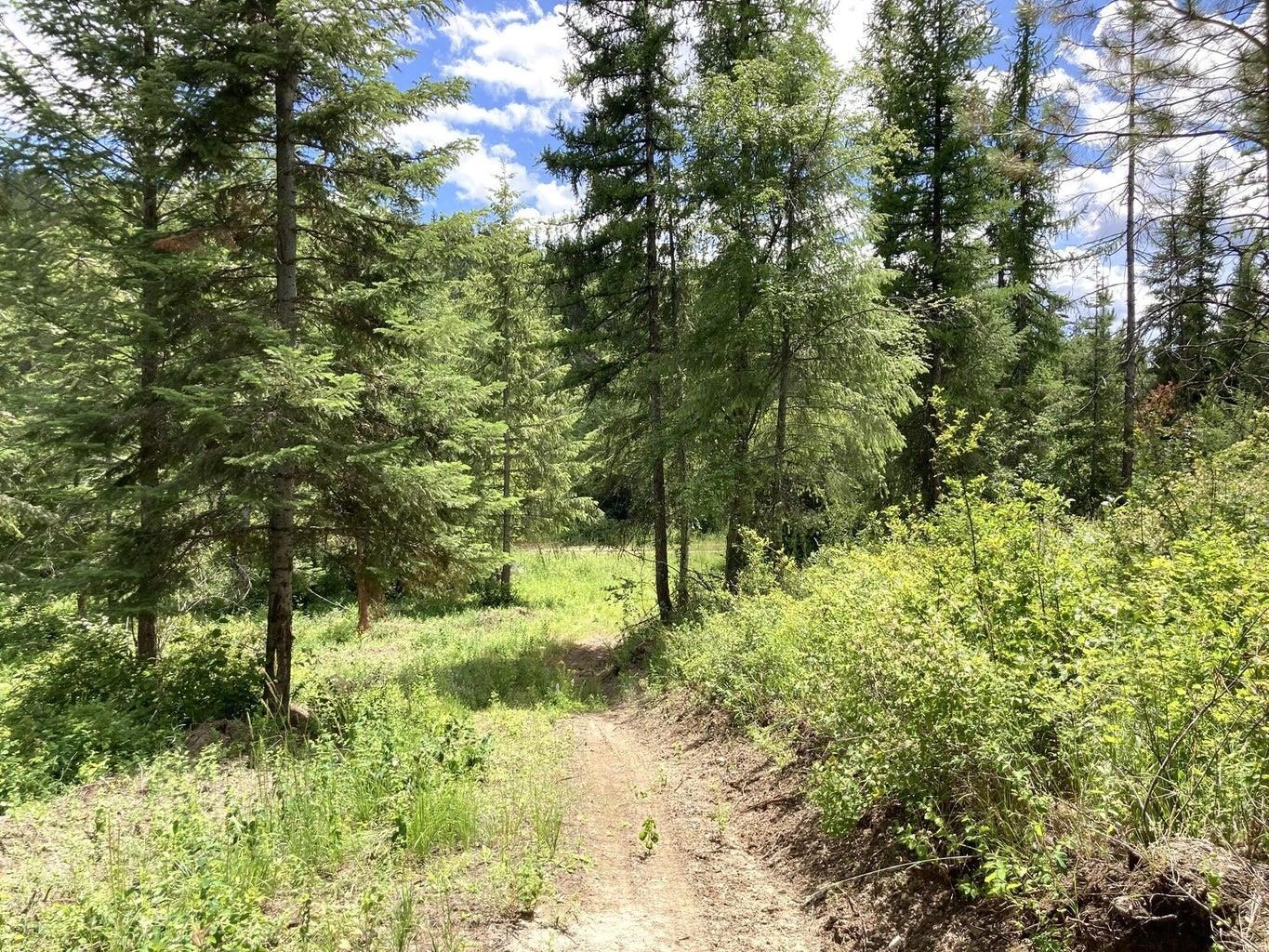 U U Buffy Lane Inchelium, WA 99138 - Photo 16 of 18