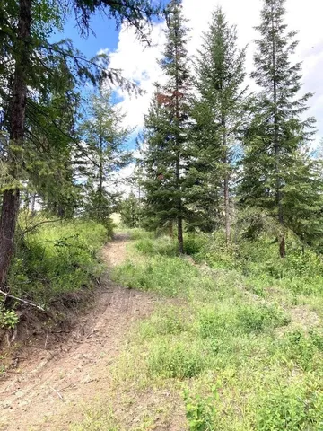 $85,000 | U U Buffy Lane, Inchelium, WA 99138