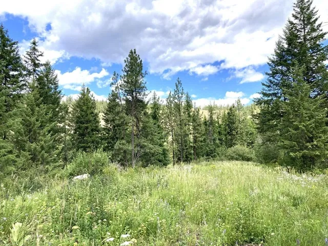 $85,000 | U U Buffy Lane, Inchelium, WA 99138