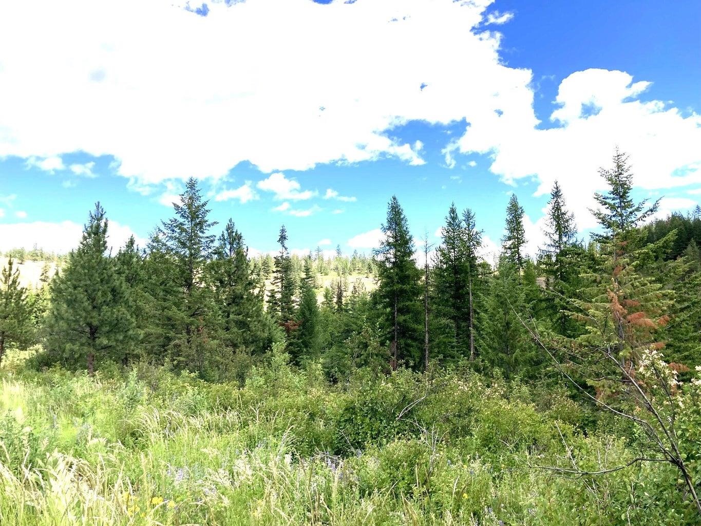 U U Buffy Lane Inchelium, WA 99138 - Photo 3 of 18