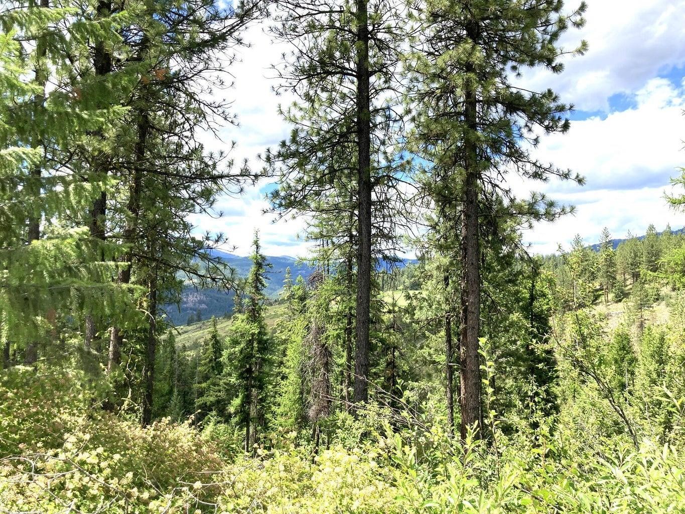 U U Buffy Lane Inchelium, WA 99138 - Photo 4 of 18