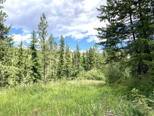 $85,000 | U U Buffy Lane, Inchelium, WA 99138