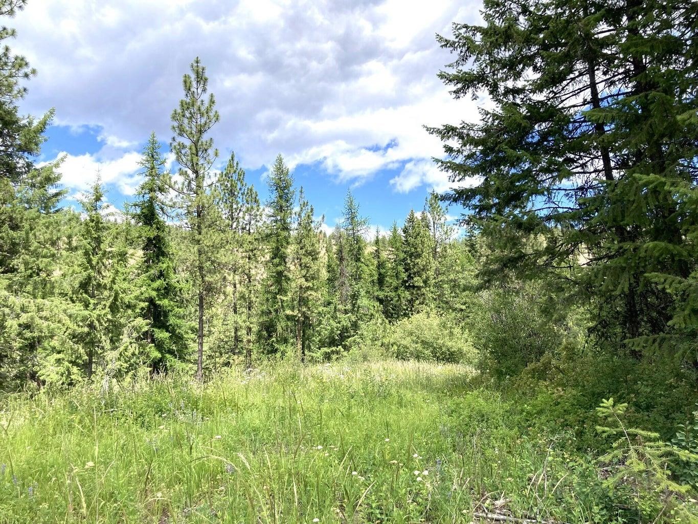 U U Buffy Lane Inchelium, WA 99138 - Photo 5 of 18