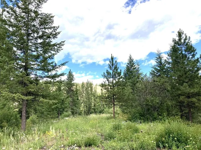 $85,000 | U U Buffy Lane, Inchelium, WA 99138