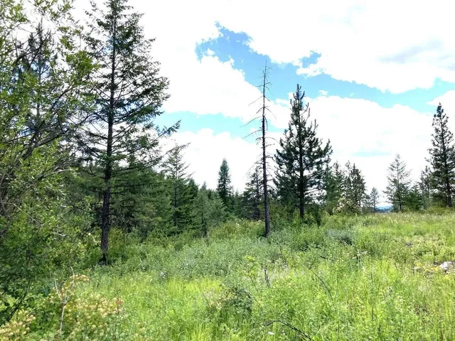 $85,000 | U U Buffy Lane, Inchelium, WA 99138