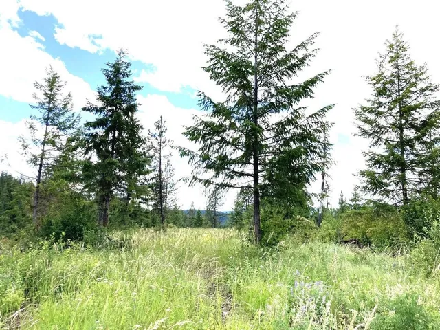 $85,000 | U U Buffy Lane, Inchelium, WA 99138