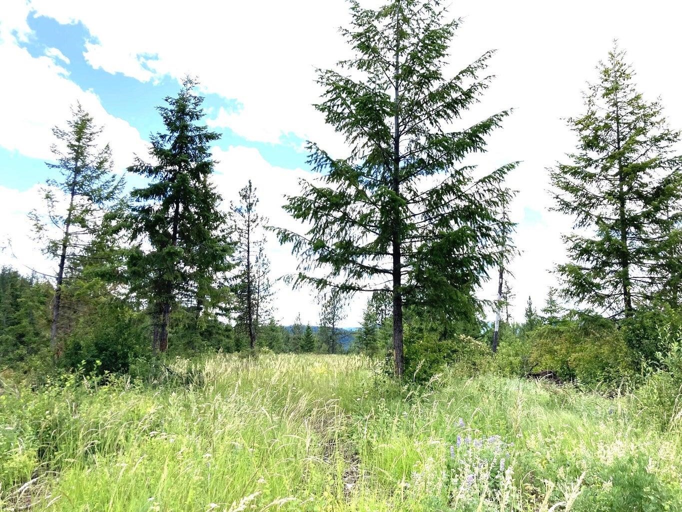 U U Buffy Lane Inchelium, WA 99138 - Photo 8 of 18