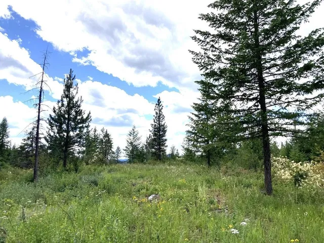 $85,000 | U U Buffy Lane, Inchelium, WA 99138