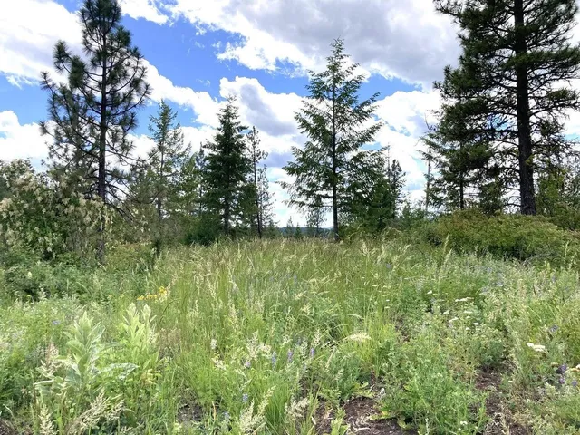 $85,000 | U U Buffy Lane, Inchelium, WA 99138