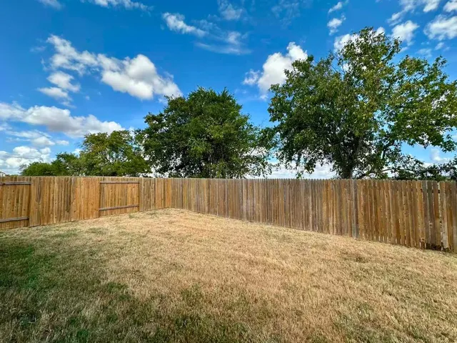 a view of backyard with tree