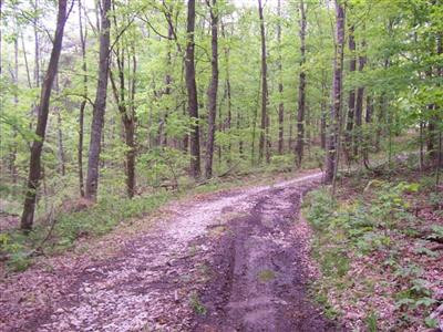 138 Buzzard Rock Road McKee, KY 40447 - Photo 6 of 16 Photo 6