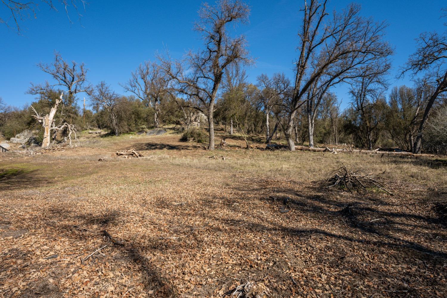 46011 Ming Circle Oakhurst, CA 93644 - Photo 33 of 37 a backyard of a house with large trees