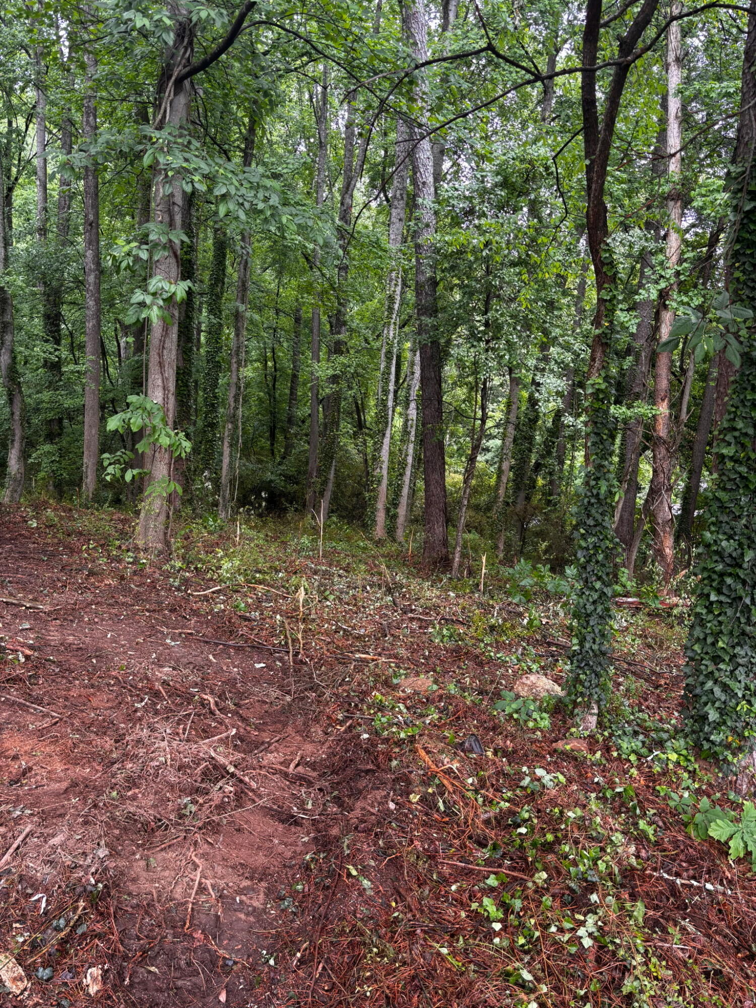 Lot 35 Ryman Ridge Road Dalton, GA 30720 - Photo 2 of 5 IMG_20260425_213114