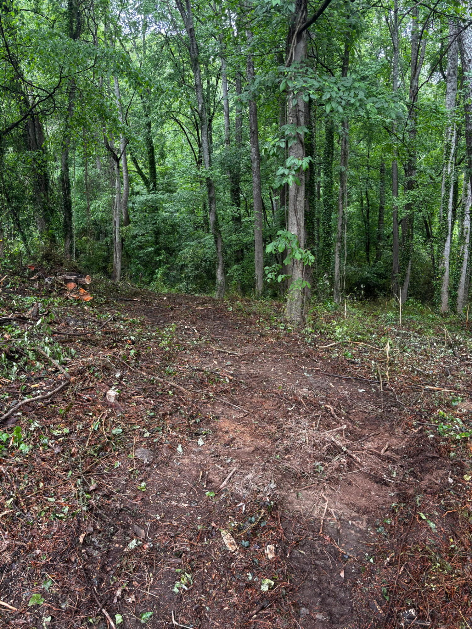 Lot 35 Ryman Ridge Road Dalton, GA 30720 - Photo 3 of 5 IMG_20260425_213117