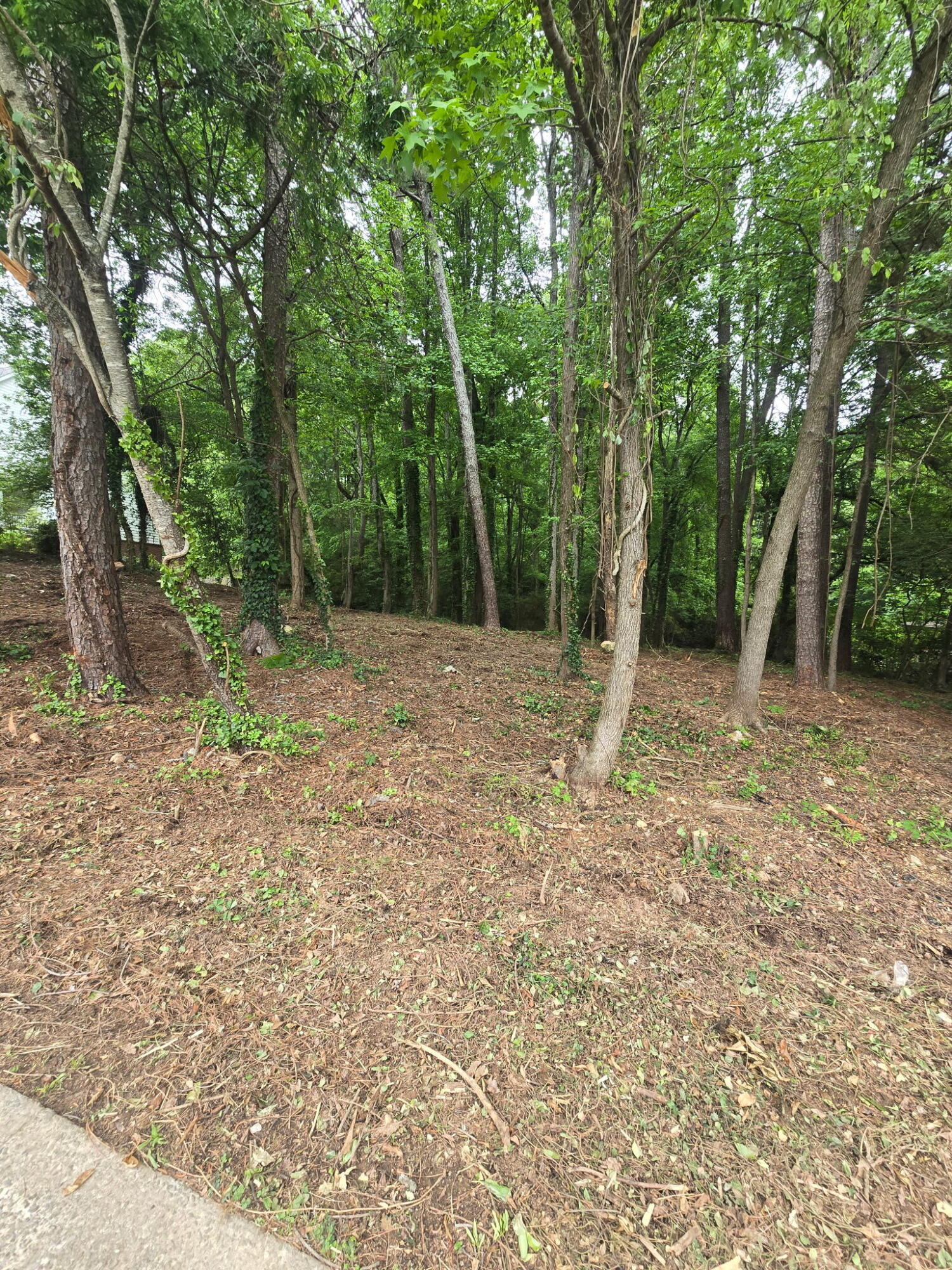 Lot 35 Ryman Ridge Road Dalton, GA 30720 - Photo 4 of 6 20260501_134232