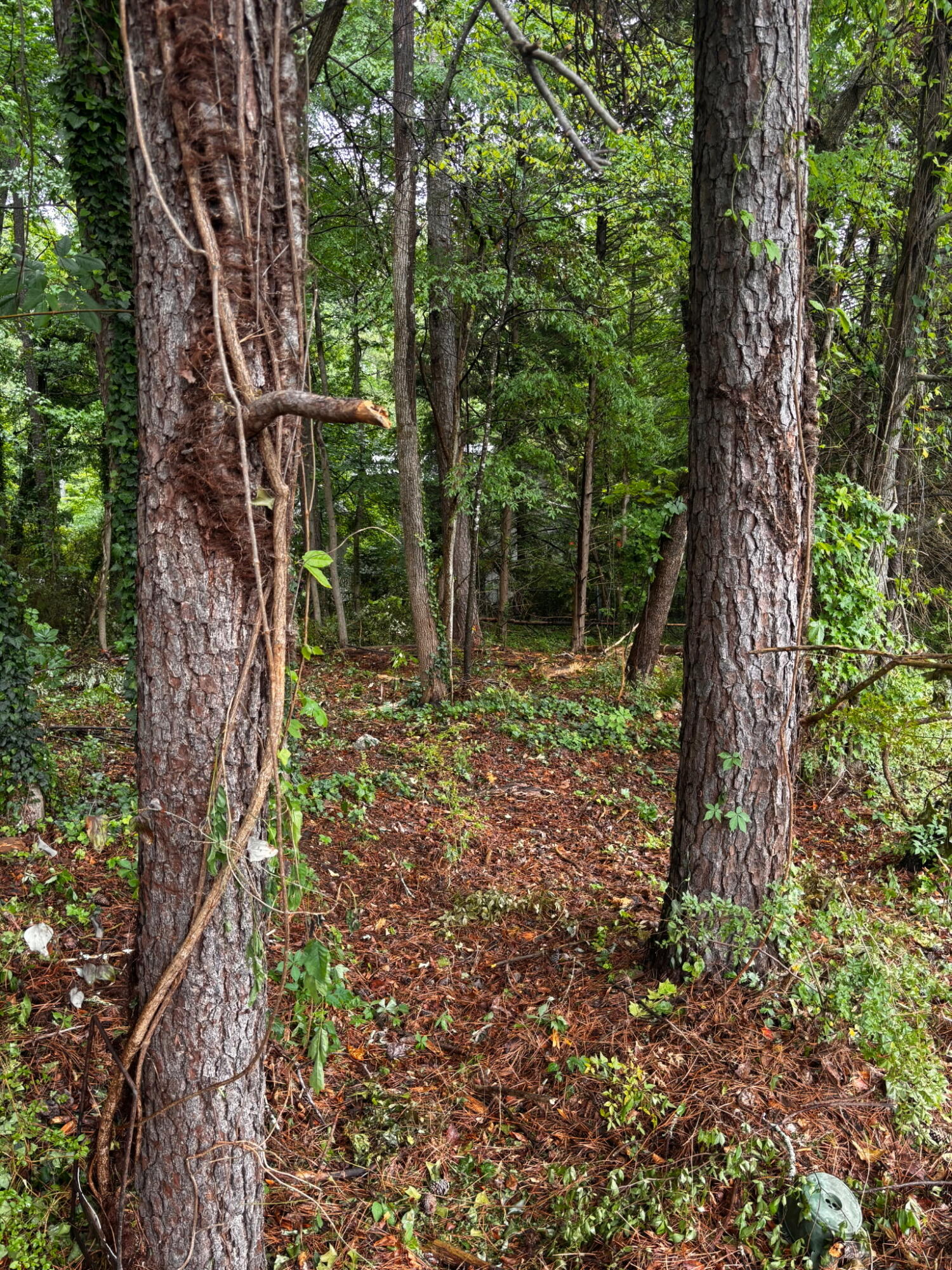 Lot 35 Ryman Ridge Road Dalton, GA 30720 - Photo 4 of 5 IMG_20260425_213124