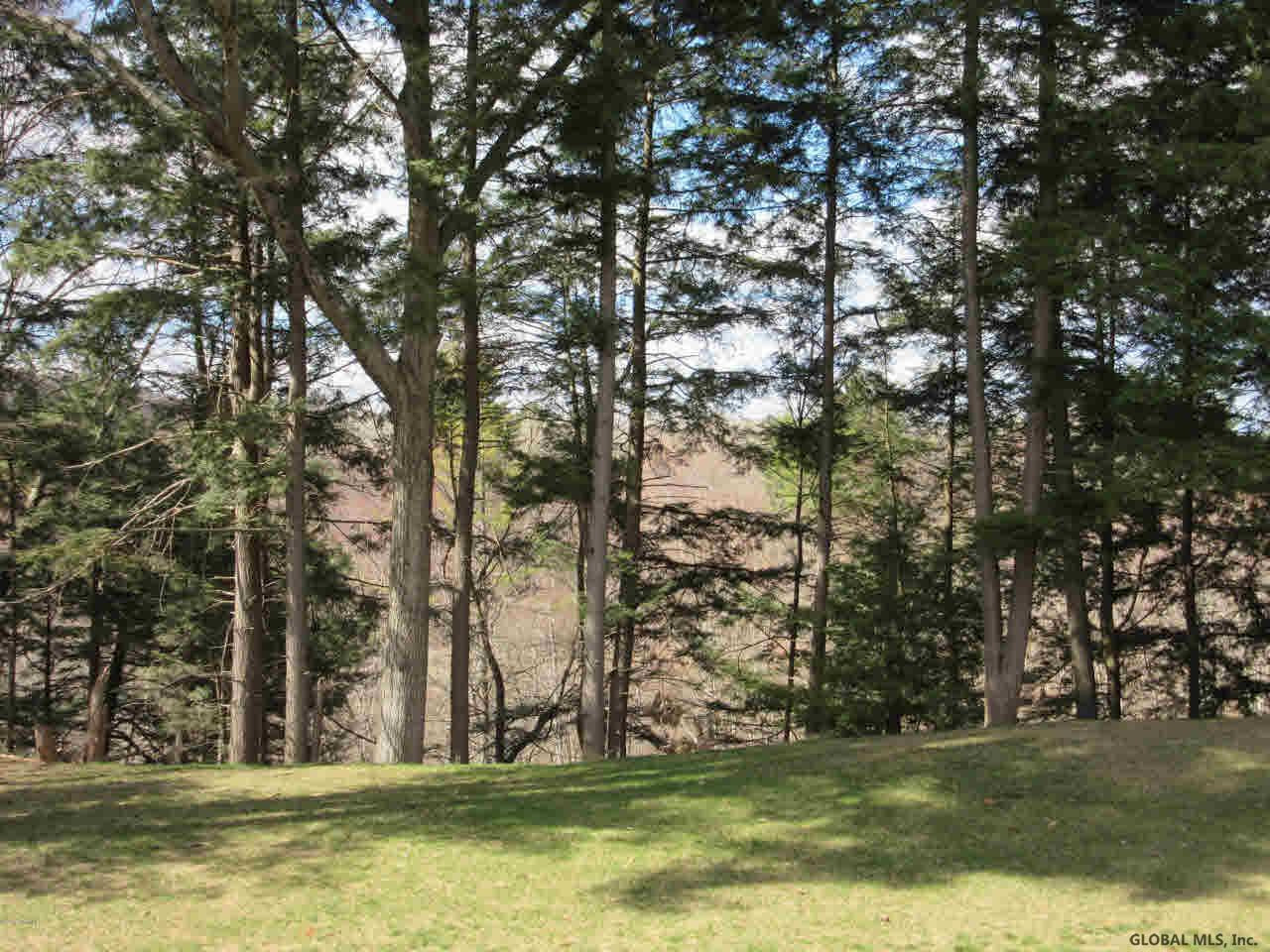 12 Thistle Road Wilton, NY 12831 - Photo 5 of 26 Photo 5