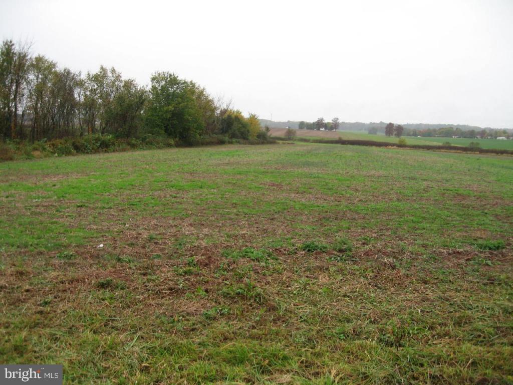 0 Mapledale Road, Unit 2 Elizabethtown, PA 17022 - Photo 1 of 4 a view of outdoor space and yard